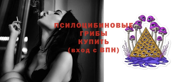 дурь Мегион