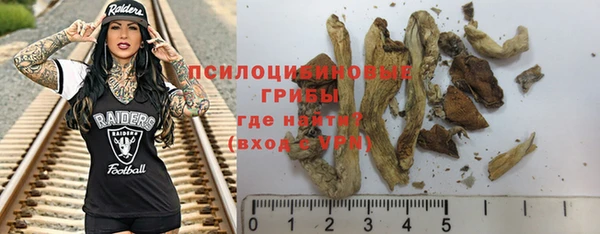 дурь Мегион