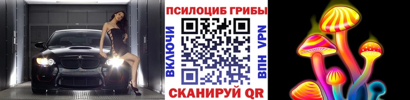 Псилоцибиновые грибы MAGIC MUSHROOMS  закладка  ОМГ ОМГ маркетплейс  Нязепетровск 